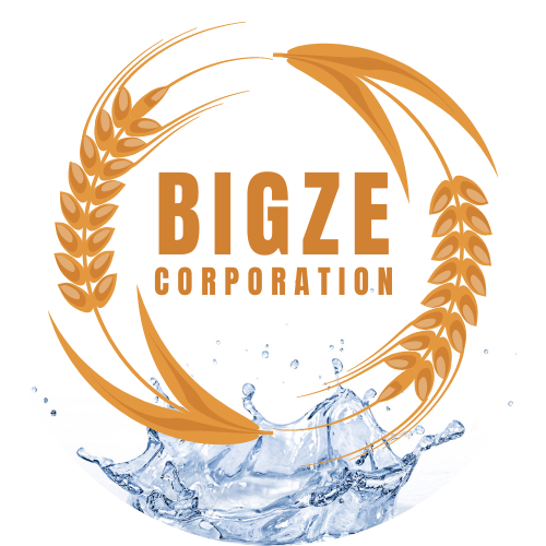 BIGZECORPORATION